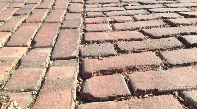 Why great wealth does not always add up to great insight