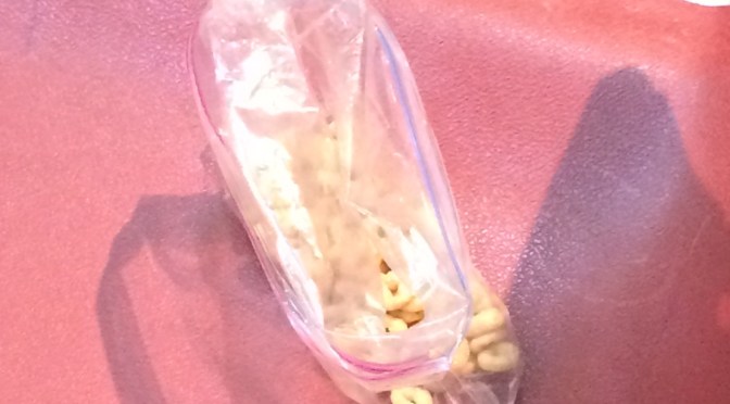 What a plastic bag of Cheerios says about the right kind of parenthood