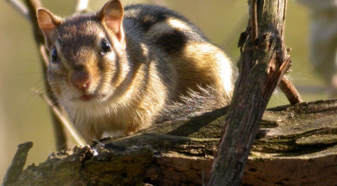 The 10 ways I’ve most changed since I was a kid