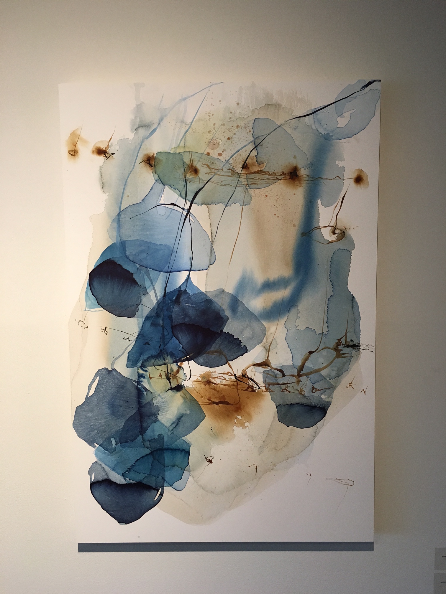 Zanic watercolor too.jpg