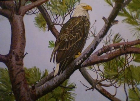 Bald Eagle Painting