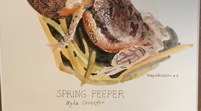 Drawing on the inspiration for a new day